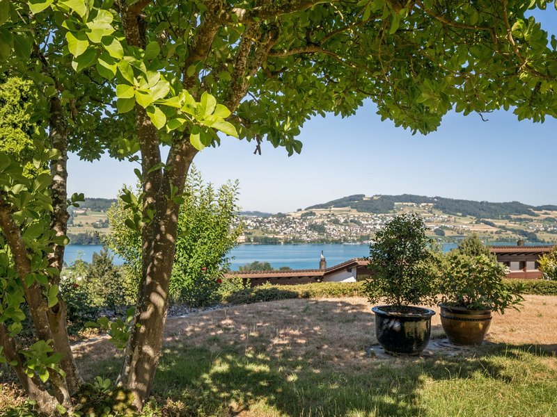 Maison individuelle de 5.5 pièces à Aesch - Surfaces extérieures