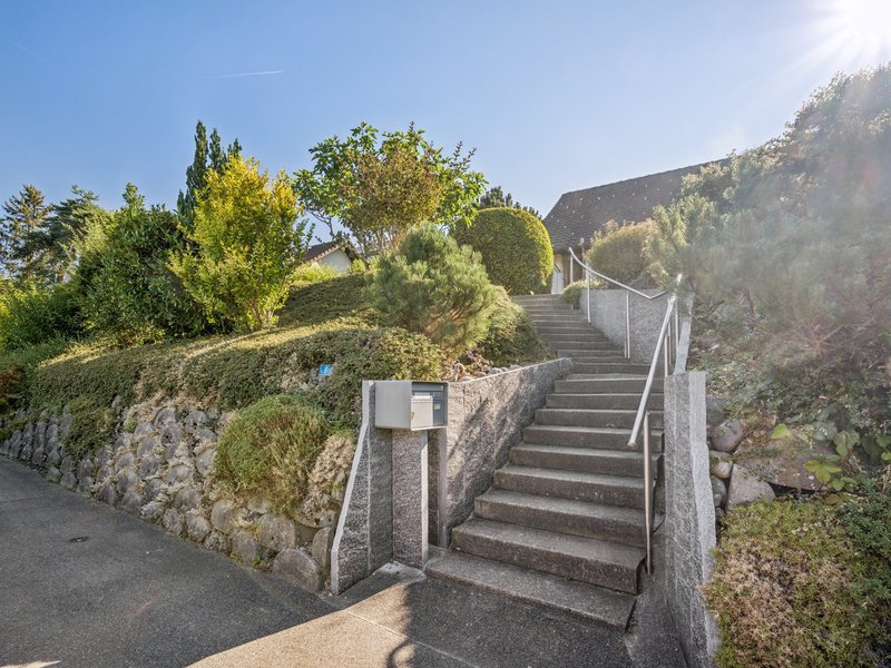 Maison individuelle de 5.5 pièces à Aesch - Surfaces extérieures