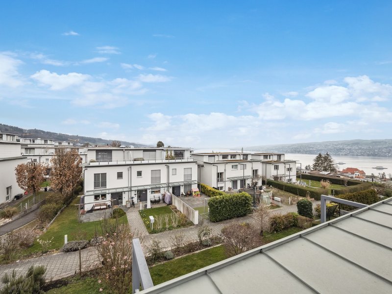 5.5-Zimmer Reihenmittelhaus in Horgen - Aussicht