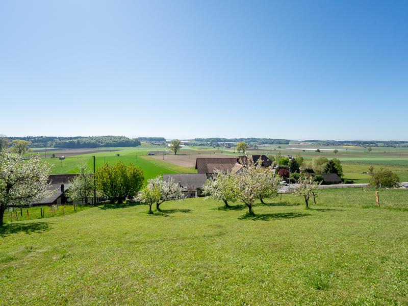 Maison individuelle de 6 pièces à Brittern - Vue