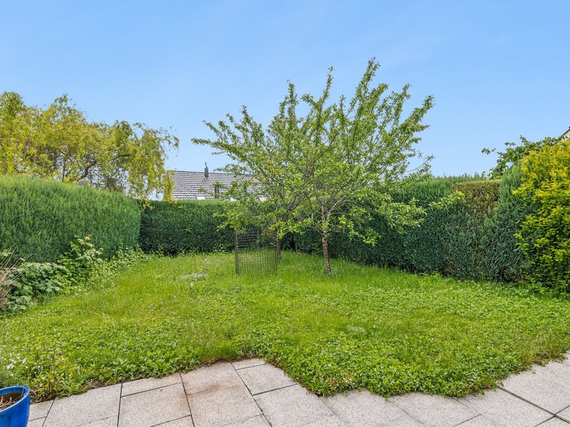 Casa unifamiliare di 4.5 locali a Hägendorf - Superficie esterna