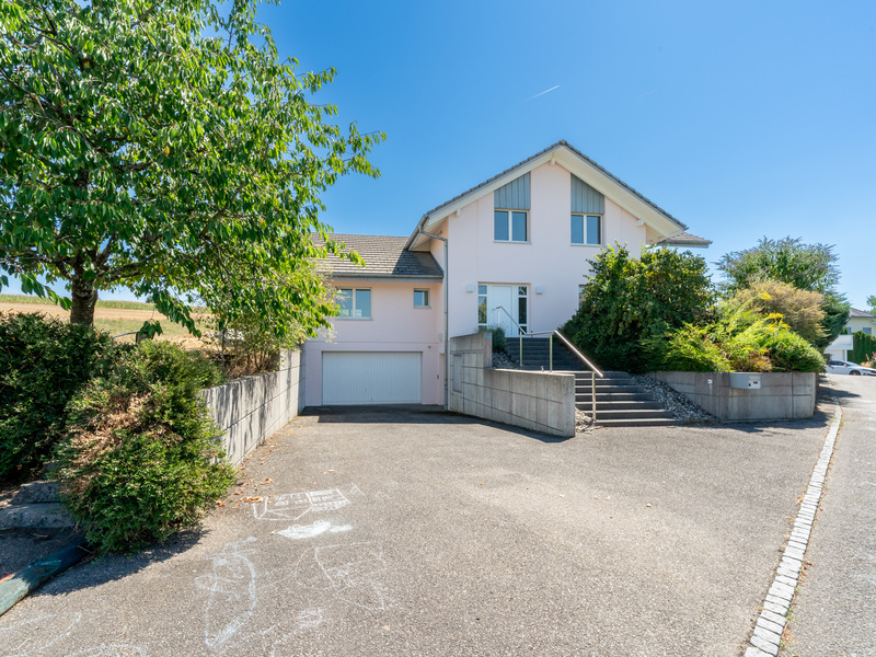 Maison individuelle de 5.5 pièces à Däniken - &nbsp;