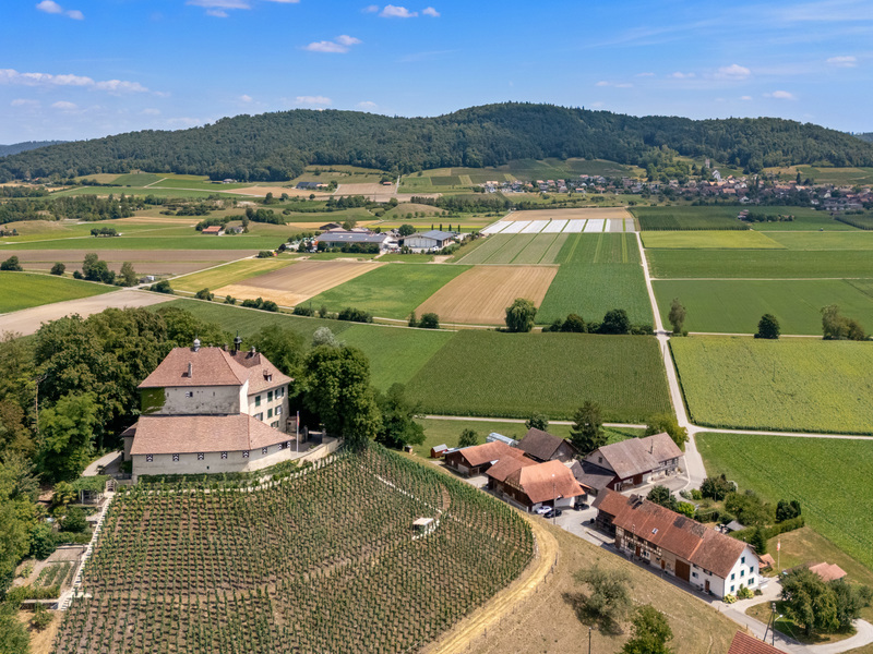Bauland in Stammheim - Baulandparzelle