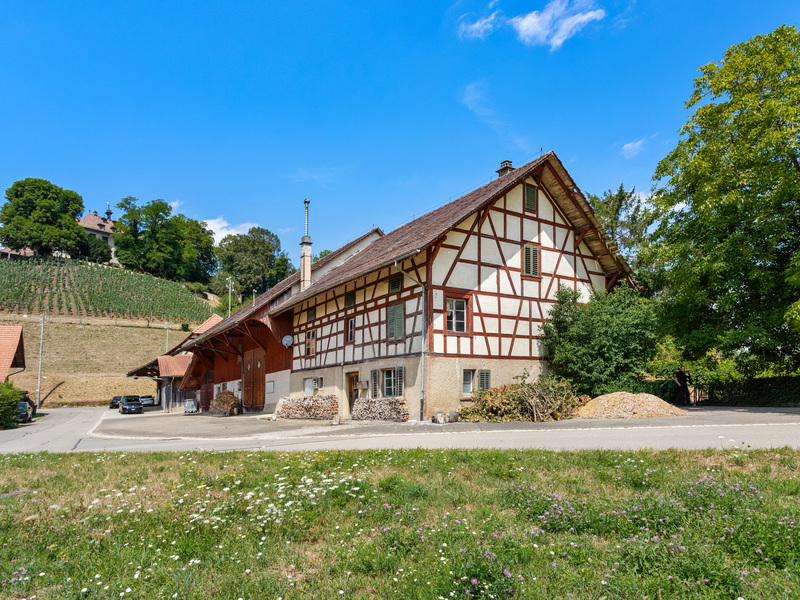 Bauland in Stammheim - Baulandparzelle