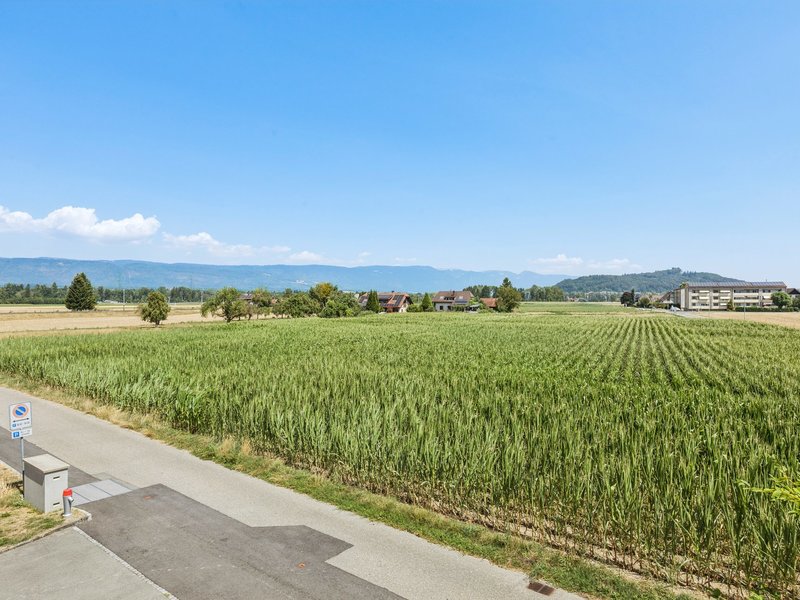 Appartement de 4.5 pièces à Busswil b. Büren - Vue