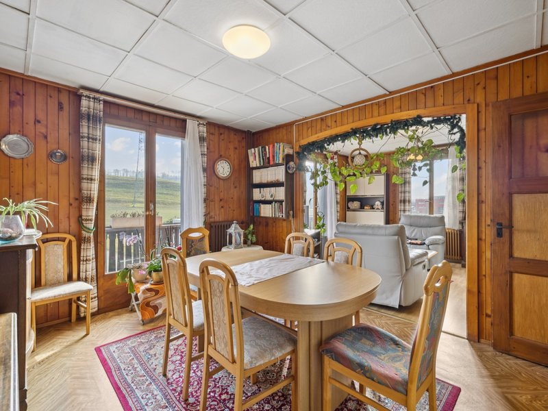 Wohn- und Essbereich