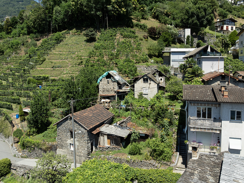 Bauland in Gordola - Baulandparzelle