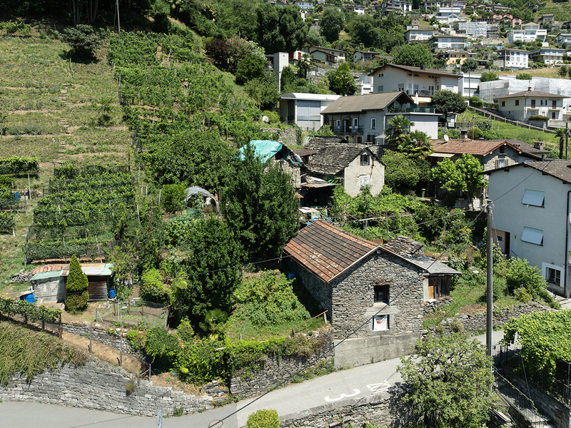 Bauland in Gordola - Baulandparzelle