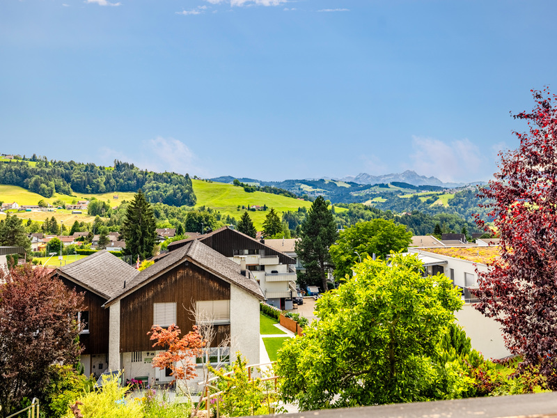 4.5-Zimmer Einfamilienhaus in Eggersriet - Aussicht