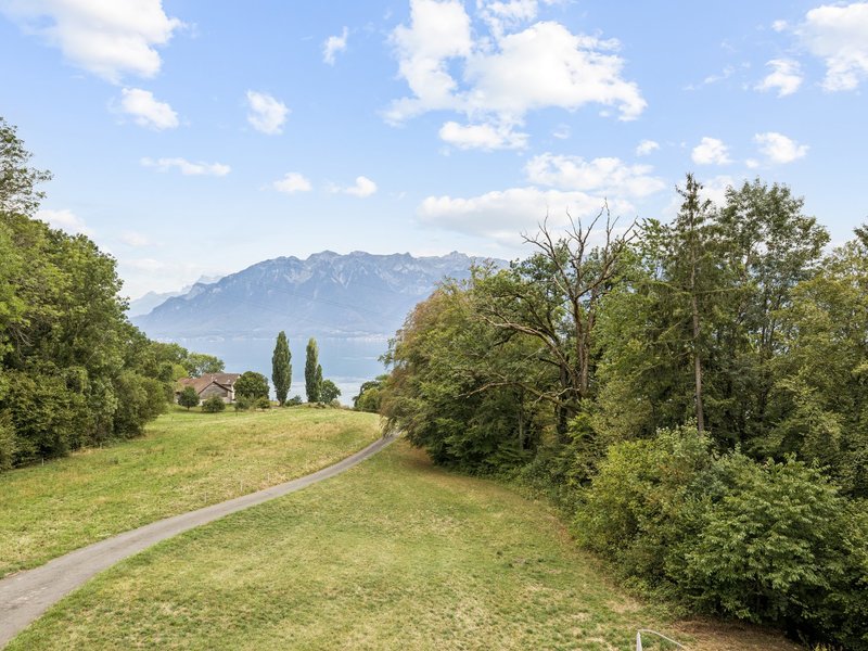 Maison individuelle de 8.5 pièces à St-Saphorin-Lavaux - Surfaces extérieures