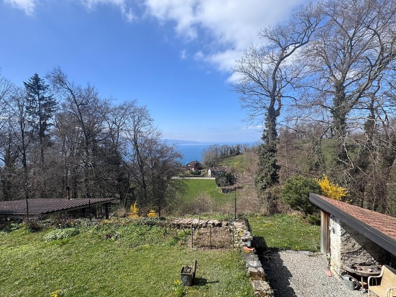 Maison individuelle de 8.5 pièces à St-Saphorin-Lavaux - Vue