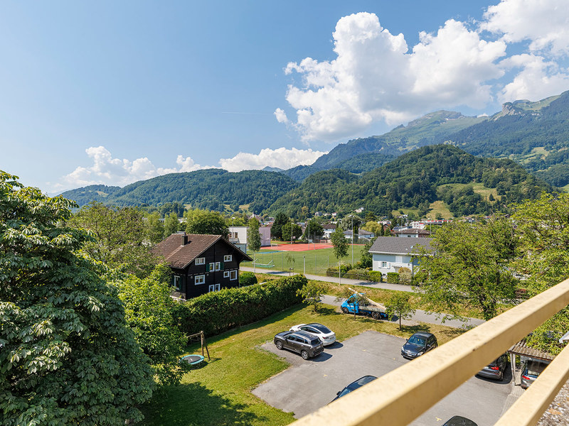 3.5-Zimmer Dachgeschosswohnung in Sevelen - Aussicht