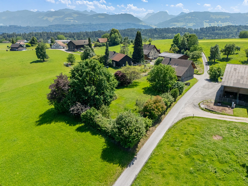 4.5-Zimmer Einfamilienhaus in Eschenbach - &nbsp;