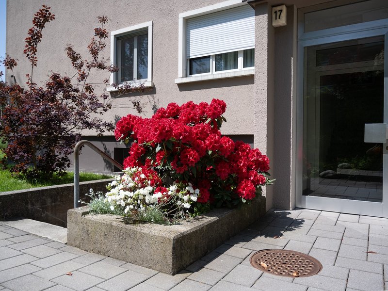 Aussenflächen