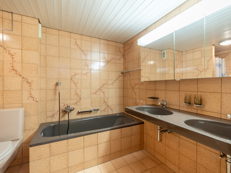 Maison individuelle de 5.5 pièces à Wangen b. Olten - Salle de bain