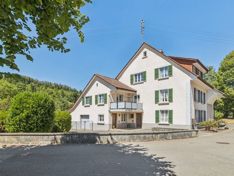 8-Zimmer Einfamilienhaus in Nunningen - &nbsp;