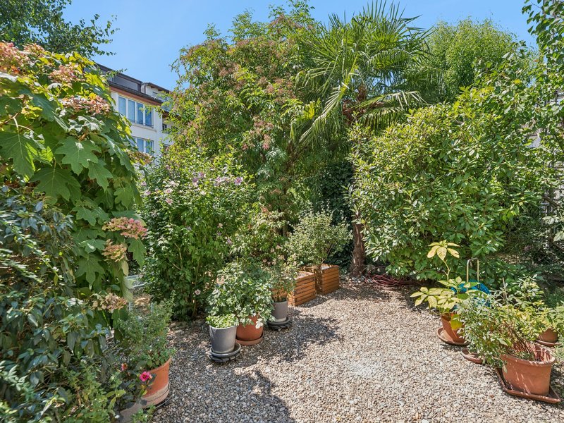 Casa unifamiliare di 6 locali a Basel - Superficie esterna