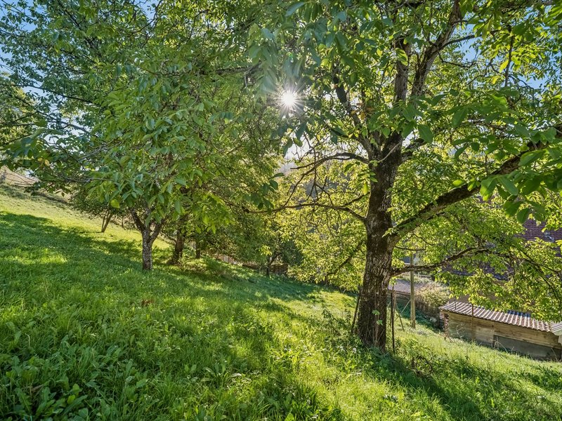6.5-Zimmer Einfamilienhaus in Holderbank - Aussenflächen