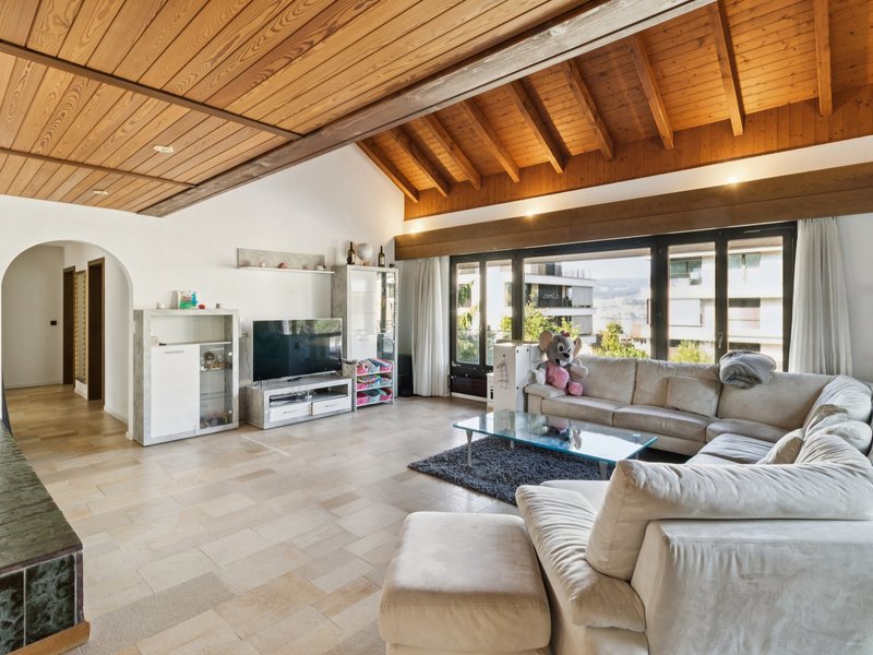 Maison individuelle de 6.5 pièces à Horgen - Séjour
