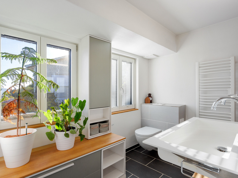 Casa unifamiliare di 4.5 locali a Winterthur - Bagno