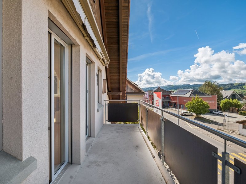 Duplex de 7.5 pièces à Aesch - Surfaces extérieures