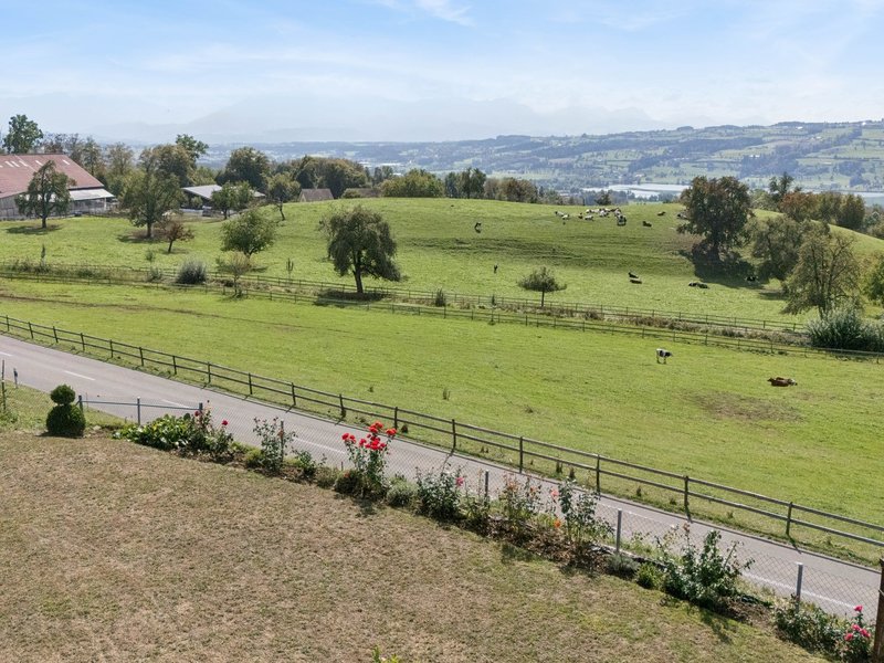 Maison individuelle de 5.5 pièces à Lieli LU - Vue