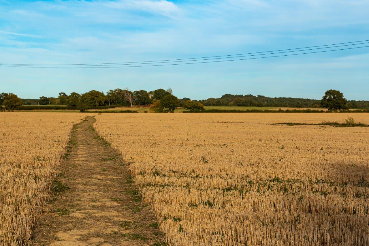 Pluckley Station (62).jpg