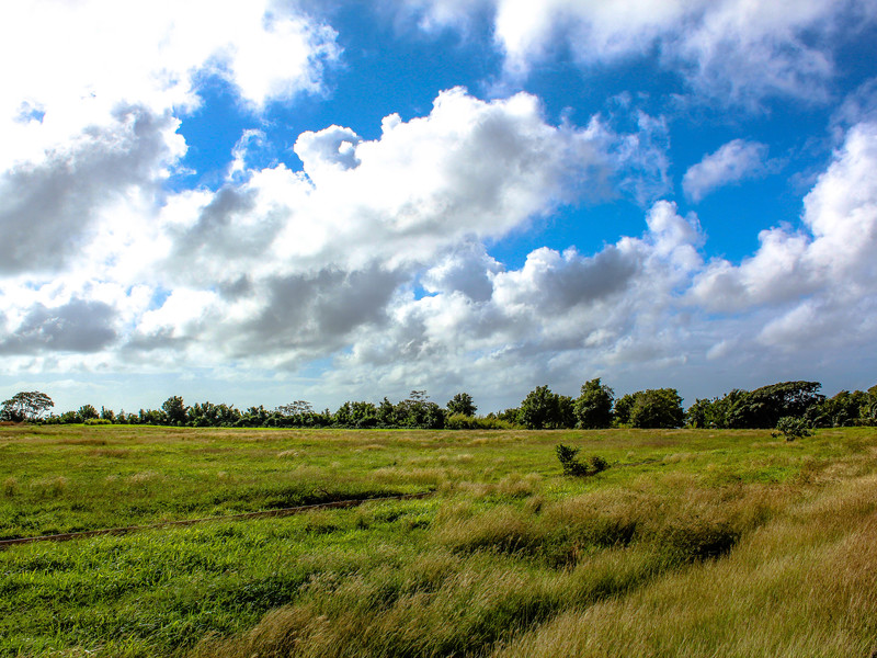 0 bed Residential Properties Land, Land For Sale in Lion Castle Polo Estate, St. Thomas