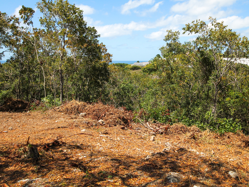 0 bed Residential Properties Land, Land For Sale in , St. James - thumb 2