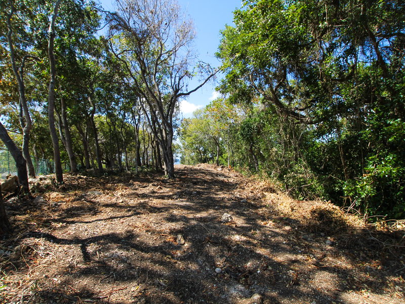 0 bed Residential Properties Land, Land For Sale in , St. James - thumb 8