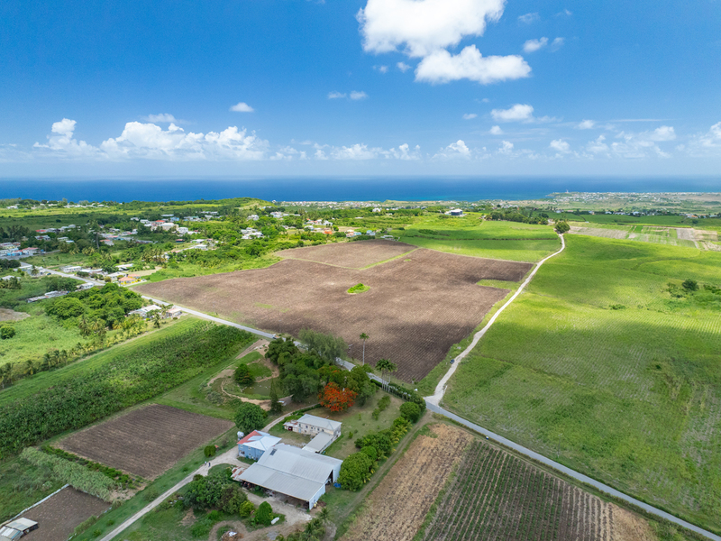 0 bed Residential Properties Land, Land For Sale in St. Philip, 