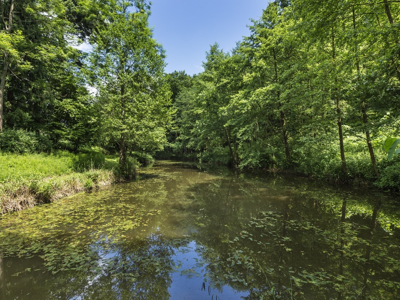 8 bed House - Detached For Rent in Dorking, Surrey - 2