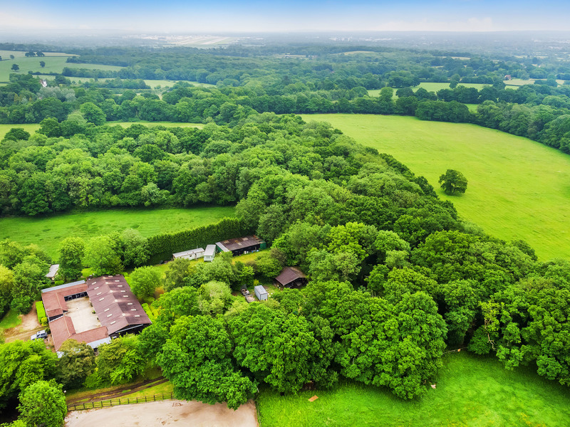 Land For Sale in Newdigate