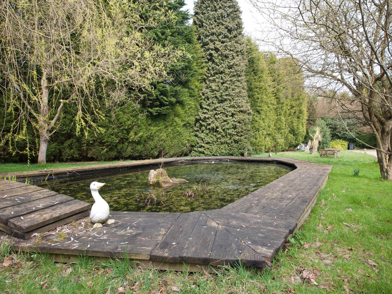 3 bed Bungalow - Detached For Sale in Caterham, Surrey - 2