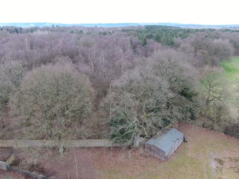 6 Bed Land For Sale in Dorking