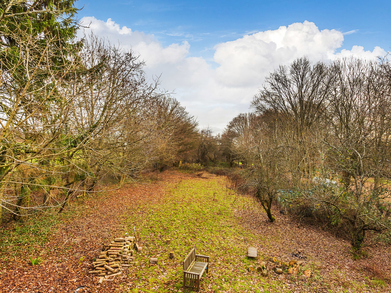 3 Bed Land For Sale in Dorking
