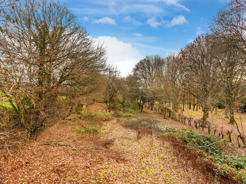 3 Bed Land For Sale in Dorking