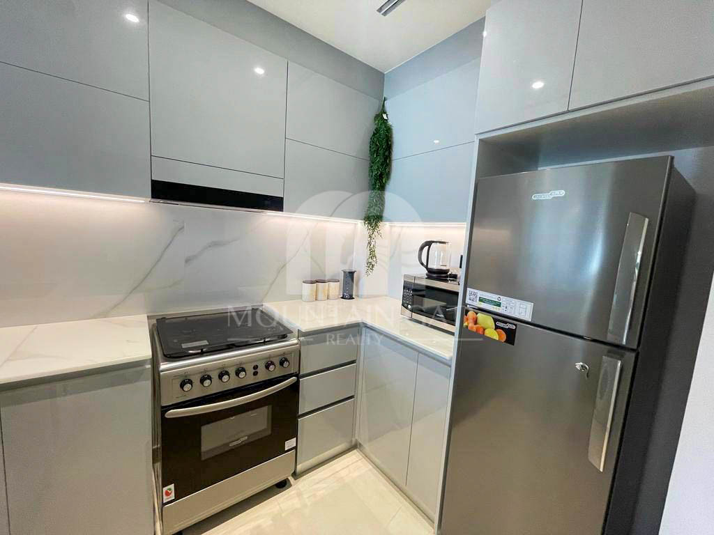 Furnished Smart Home | Near Metro | 2M Notice 1BR Al Jaddaf Mountain Gate