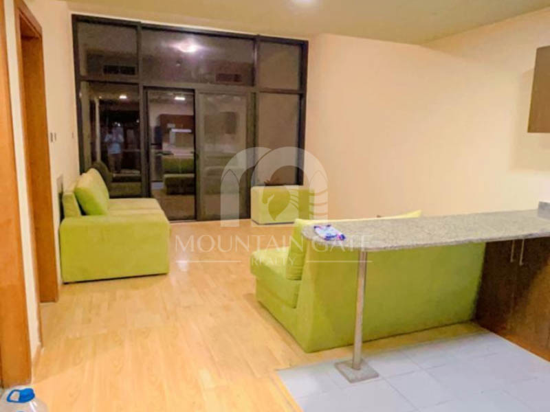 Exclusive 1BR | Prime Area | High ROI 1BR Dubai Silicon Oasis Mountain Gate