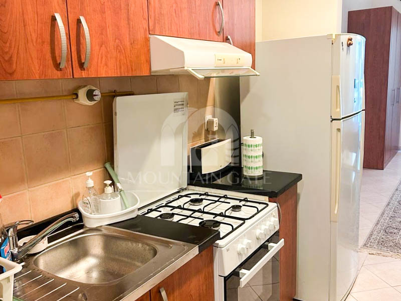Spacious Furnished layout Lake View Including PK Dubai Production City (IMPZ) Mountain Gate