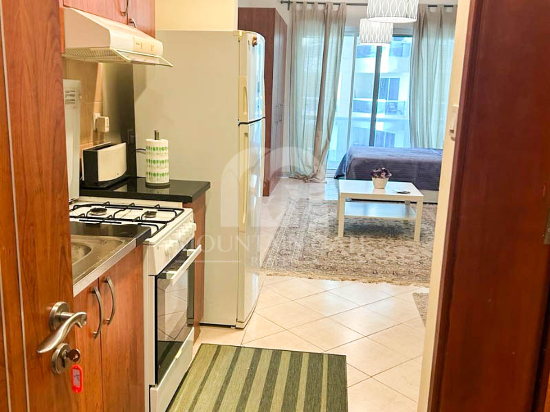 Spacious Furnished layout Lake View Including PK Dubai Production City (IMPZ) Mountain Gate