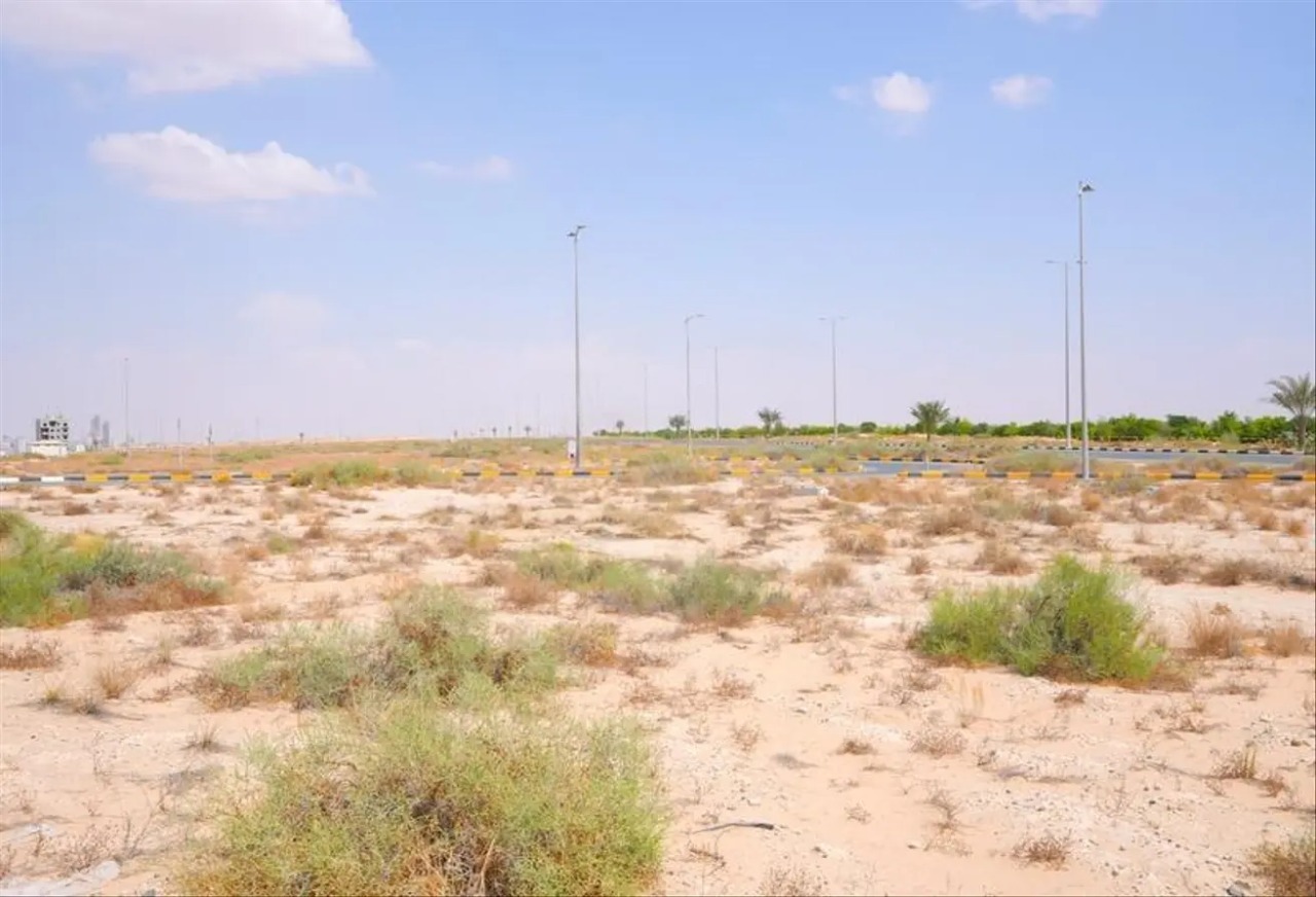 2 Blouks | 12piece | Commercial +2 | Only GCC Al Dhaid Mountain Gate