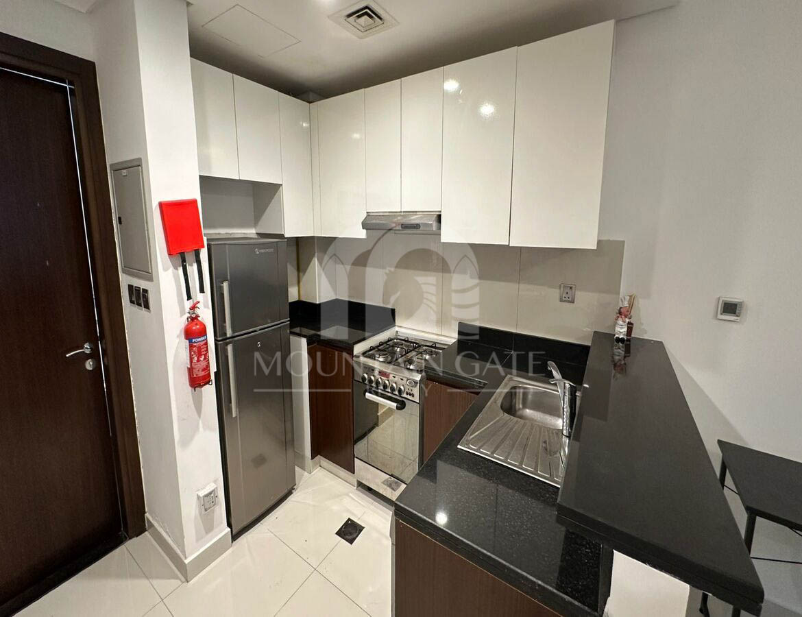 Next to Bus Stop Ready to Move in Fully Furnished Jumeirah Village Circle Mountain Gate