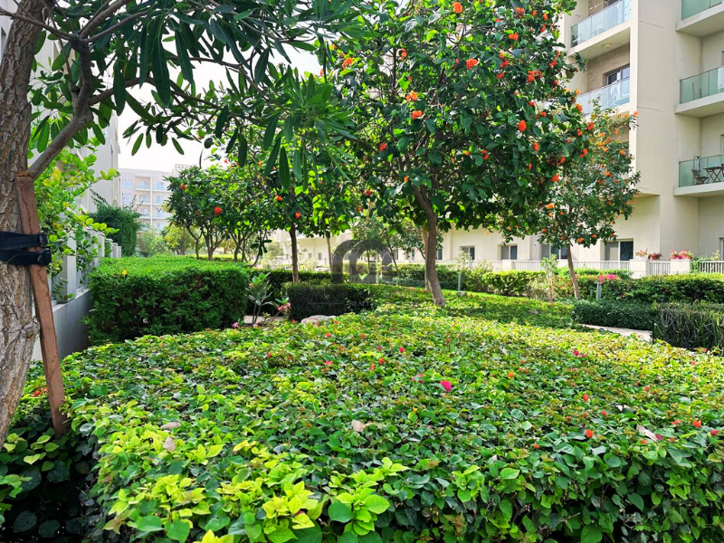Spacious area | Open view | Ready to move 2BR Muwaileh Commercial Mountain Gate