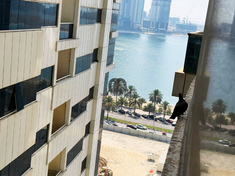 Large Apartment | Dubai Road | Services Available 2BR Al Taawun Mountain Gate