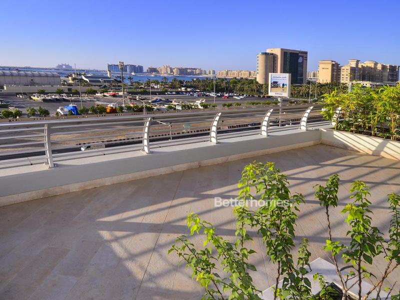 1 Bedroom Apartment in Princess Tower