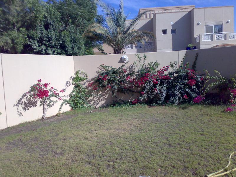 5 Bedrooms Villa in Meadows 6