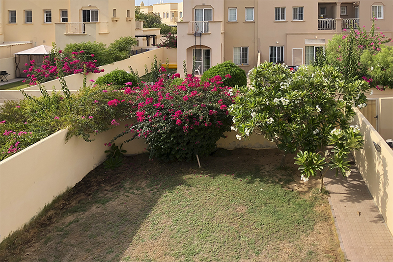 3 Bedrooms Villa in Springs 11