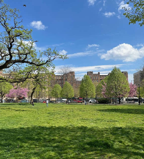 299 East 161st Street, #504