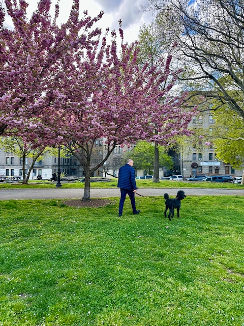 299 East 161st Street, #504